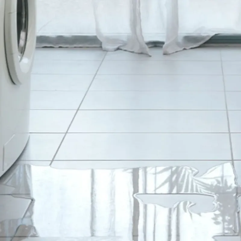 Appliance Leak Cleanup in San Pasqual, CA